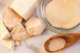Bakery Yeast